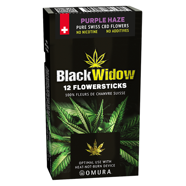 Black Widow Purple Haze Flowersticks 12'S